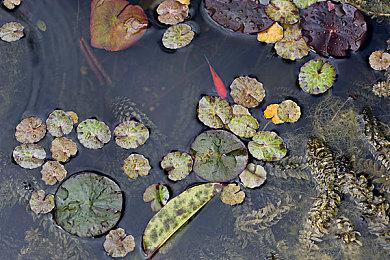 高能电玩节：《大富翁10》今年暑期登陆Switch